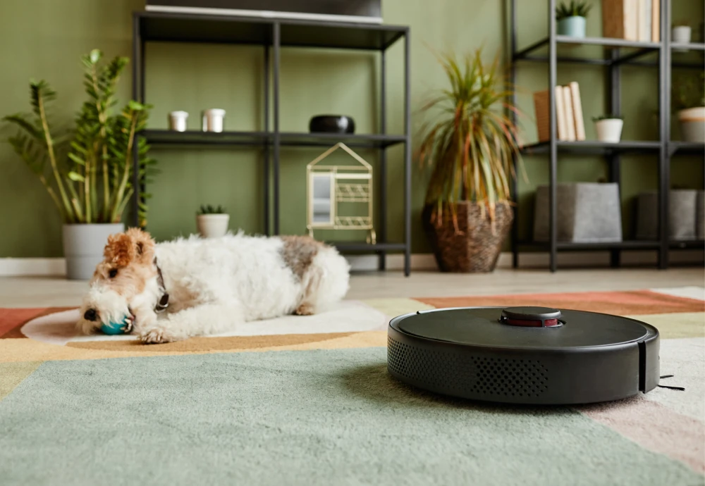 robot vacuum cleaner reviews