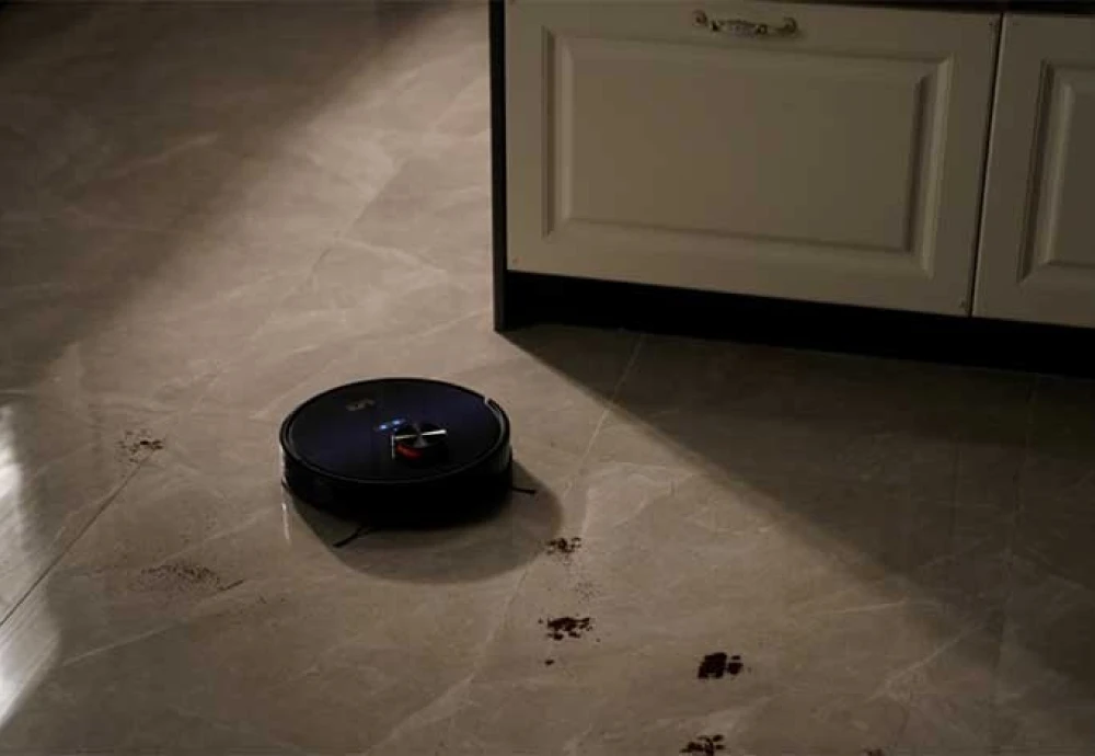 self cleaning vacuum robot